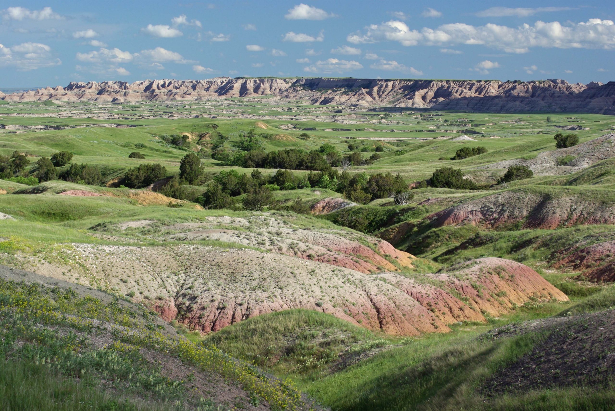 Vast Badlands National Park landscape with pastel pink eroded ridges, green grass, scattered trees under a blue sky.