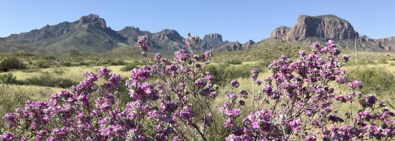 Big Bend National Park