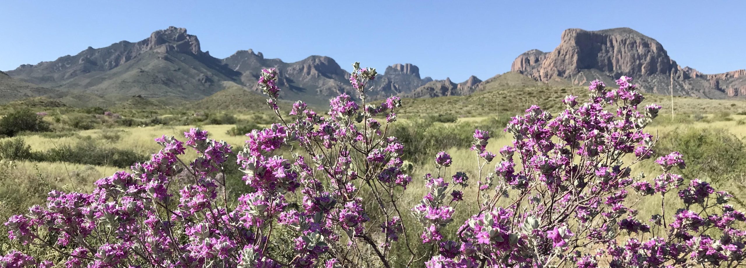 Big Bend National Park