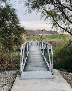 Boardwalk through Rio Grande Village wetlands at Big Bend National Park, with distant desert hills.