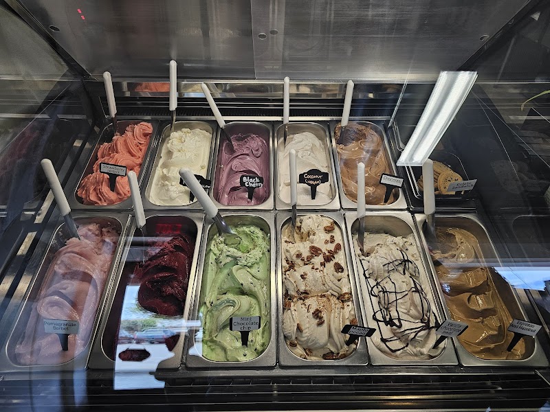 Assorted gelato flavors in metal tubs behind a glass case with labeled scoops, at Arches National Park.