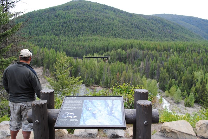 Goat Lick overlook in Glacier National Park near Essex offers expansive views across forested valleys and distant mountains.