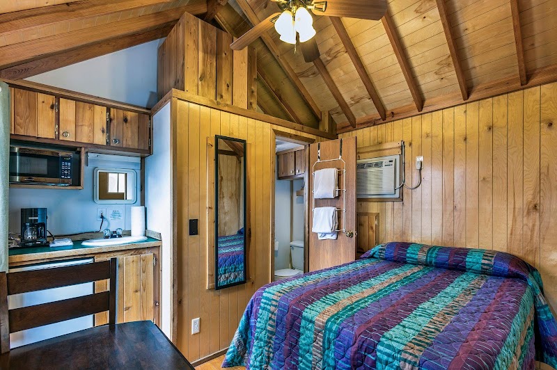 Wood-paneled cabin interior in Arches National Park with a colorful quilted bed, kitchenette, ceiling beams, and doorway to a bathroom.