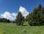 Watkins Creek Trailhead in Yellowstone National Park winds through grassy meadows and pine forest under a bright blue sky.