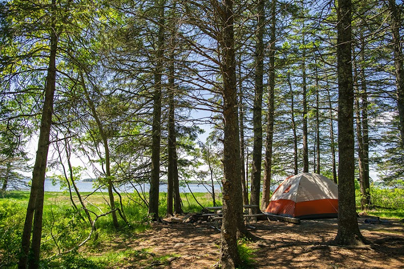 Tent campsite among pines at Acadia National Park near Bar Harbor with a lakeside view.