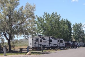 Absaroka Bay RV Park campground along Yellowstone Lake in Yellowstone National Park, with RVs parked under trees.
