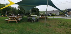 Wooden picnic tables under multicolor shade sails on a grassy area, with a tractor and houses along a road in Acadia National Park.