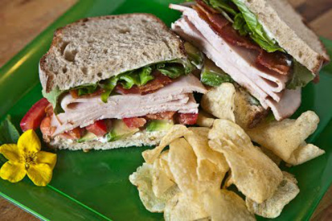 Two turkey sandwiches with lettuce and tomato on whole grain bread, beside chips on a green plate with a yellow flower, Acadia National Park.