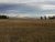 Golden grass meadow along the shoreline of Yellowstone Lake with distant pine trees and rolling hills under a dramatic, cloudy sky in Yellowstone National Park.