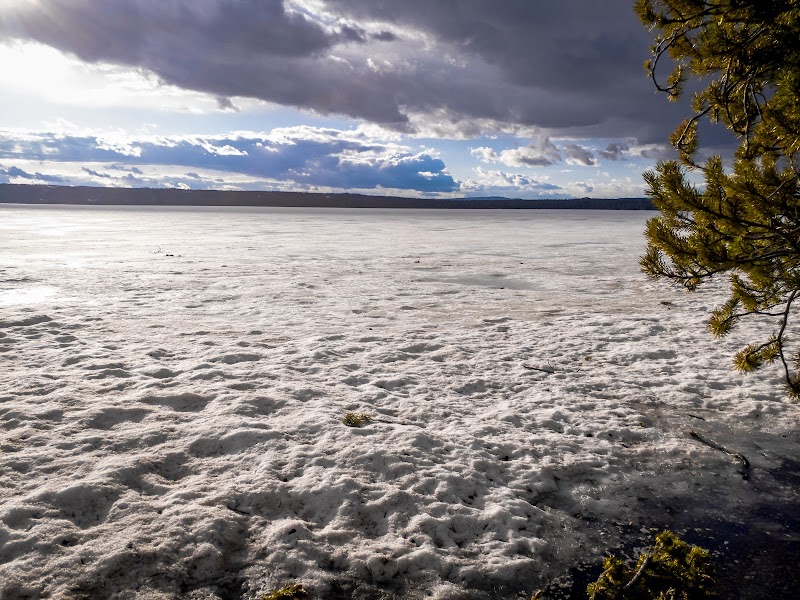 Snow-covered Lewis Lake shore in Yellowstone National Park, with a pine on the right, calm icy water, dramatic cloud-filled sky, and distant shore on the horizon, reflecting a thin melt on the ice.