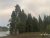 Rainbow arches over Lewis Lake among pine trees in Yellowstone National Park, captured near the shoreline.