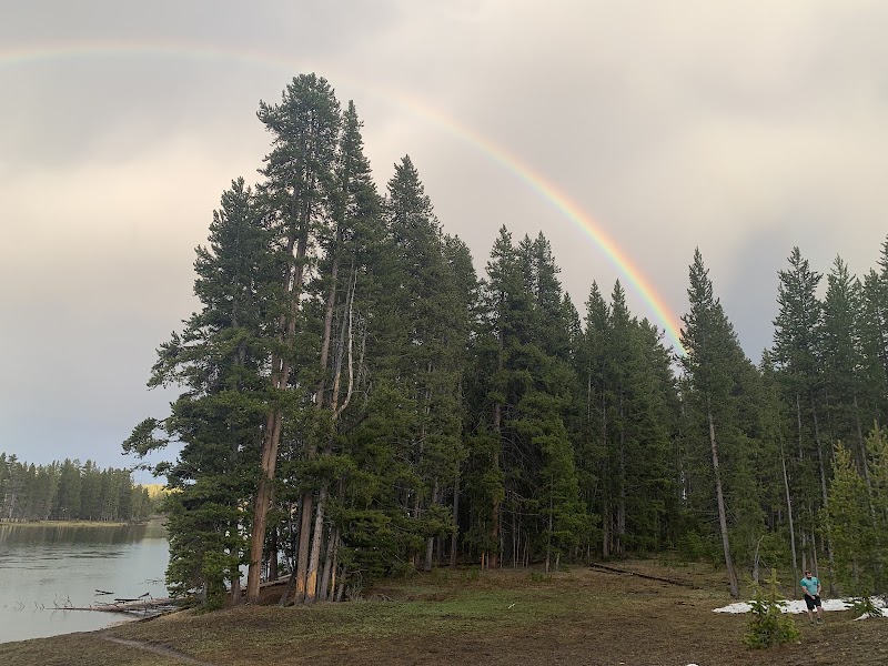 Rainbow arches over a dense pine forest beside Lewis Lake in Yellowstone National Park, with a calm shore and a hiker on the right.