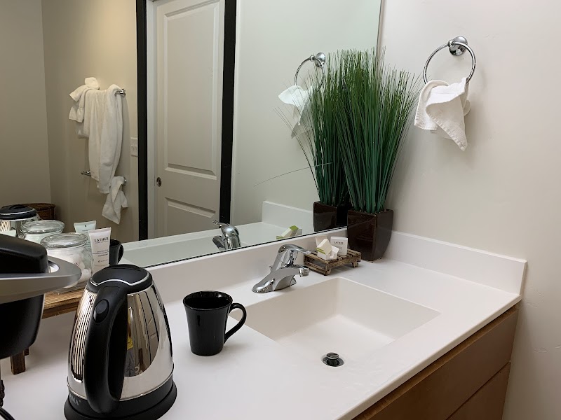 Bright lodge bathroom counter with kettle, black mug, sink, large mirror, and a tall green plant in Yellowstone National Park.