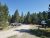 Shady campground in Yellowstone National Park with a gravel road, pine trees, tents and pickup trucks.