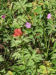 Google place 3hVCbtYY 1767848676