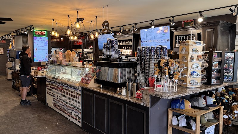 Bright cafe counter inside a Yellowstone National Park shop, with a glass display case, pastry case, and hanging bulbs.