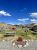 Tent campground at Yellowstone National Park under a bright blue sky with picnic tables and grassy sites.
