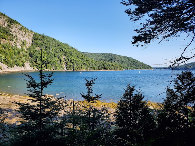 Sunlit blue harbor with rocky shoreline and evergreen trees in the foreground, forested hills along Acadia National Park coastline.