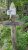 Flying Mountain Trailhead in Acadia National Park, weathered wooden signs amid lush green foliage along a forested path.