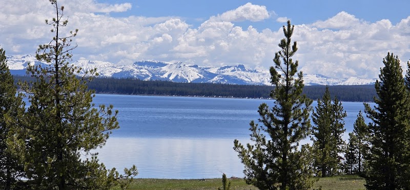 Blue lake with snow-capped mountains beyond framed by pines along West Thumb Overlook Trail in Yellowstone National Park.