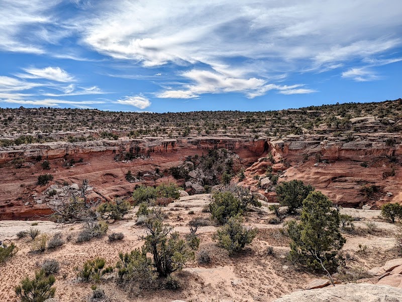 Sweeping view of layered red rock canyon with sparse shrubs and a bright blue sky in Arches National Park.