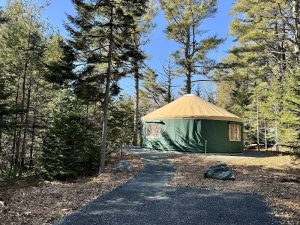 Green circular yurt with a tan dome roof sits on a gravel path among pine trees at Acadia National Park.