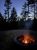 Evening campfire at Evergreen Yurts campground in Acadia National Park among tall pines.