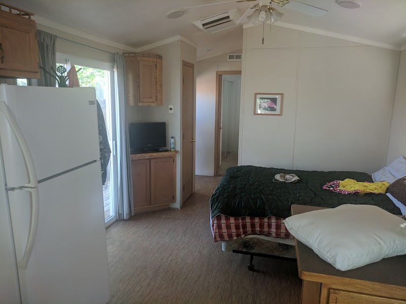 Cozy room at Arches National Park featuring a white refrigerator, small TV on a wooden cabinet, and a made bed.
