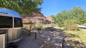 Arches National Park campground with a silver trailer on gravel, a dog by a wooden fence, and red rock cliffs behind.