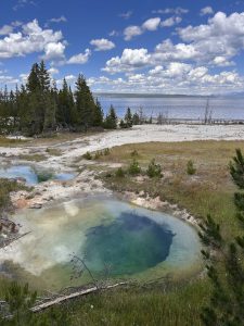 Google place 5Qz qnHg 1767756651