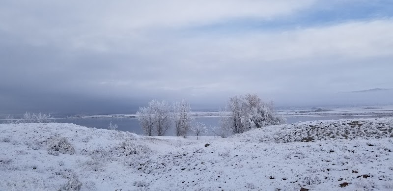 Snow-covered plain with frost-coated trees overlooking a pale lake in Yellowstone National Park.