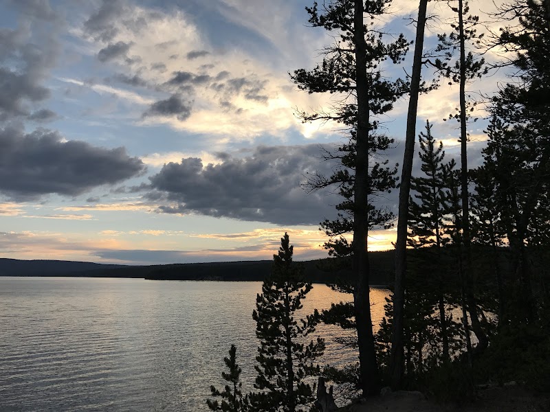 Sunset over Shoshone Lake in Yellowstone National Park with silhouetted pines along the rocky shore.