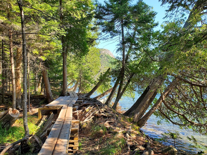 Jordan Pond Path Trailhead along a wooden boardwalk through spruce and pine with Jordan Pond visible in Acadia National Park.