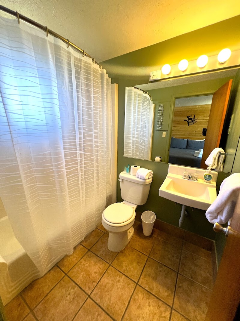 Bathroom with white shower curtain, toilet, sink, mirror, and bright vanity lights in Yellowstone National Park.