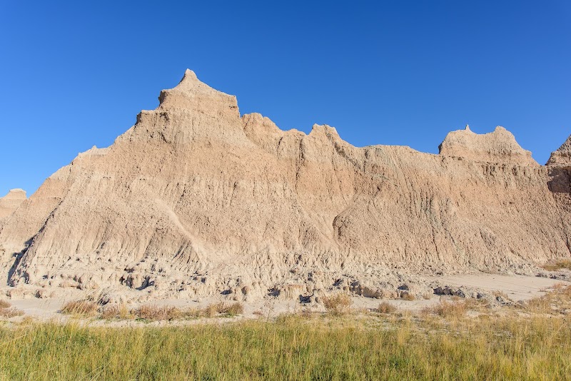 Door Trail's beige badlands cliffs rise under a blue sky, with scrubby grasses in the foreground at Badlands National Park.