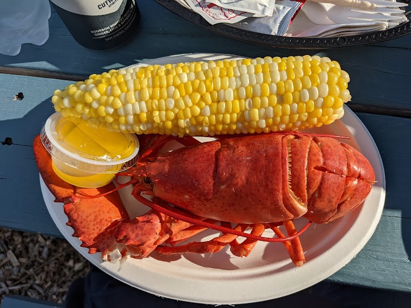 Lobster tail and claws with a yellow-and-white corn on the cob and a cup of lemon sauce on a white plate at a blue picnic table in Acadia National Park.