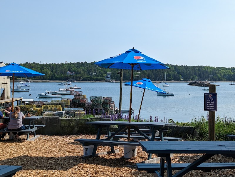 Picnic tables under blue Pepsi umbrellas overlook a harbor with boats and a stone jetty in Acadia National Park.
