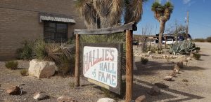 Hall of Fame sign at Stillwell Ranch area in Big Bend National Park, a rustic frame amid desert plants and gravel.