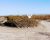 Desert road scene with a sign pointing to The Strip amid scrubby bushes in Big Bend National Park at a remote campground area.