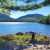 Lake view at Acadia National Park near Bar Harbor, framed by pine branches with a rocky shoreline.