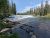 Cave Falls spills over a rocky ledge into a wide river, with a fallen log nearby and evergreen pines in Yellowstone National Park.