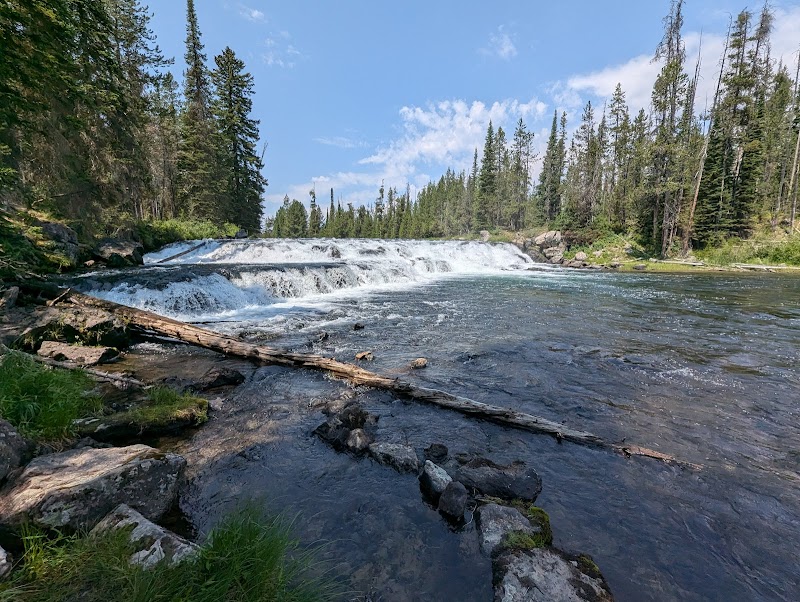Cave Falls spills over a rocky ledge into a wide river, with a fallen log nearby and evergreen pines in Yellowstone National Park.