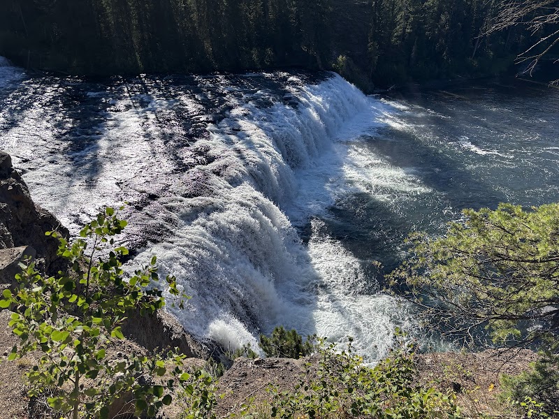 Cave Falls cascades over a rocky ledge into a foamy pool, framed by pine trees along Yellowstone National Park.