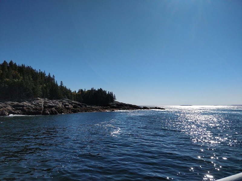 Egg Rock Lighthouse at Acadia National Park sits along the rocky shoreline under a clear blue sky.