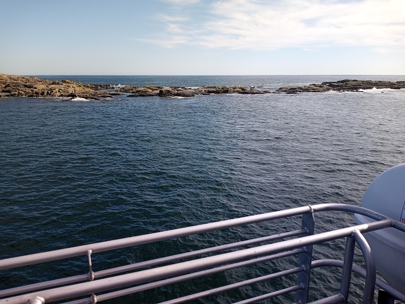 Egg Rock Lighthouse perched along the rugged granite coast of Acadia National Park, viewed from a boat deck.