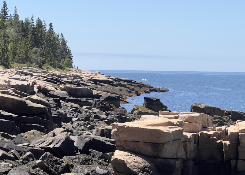 Birch Harbor at Acadia National Park shows rugged granite shoreline, pine-covered bluffs, and calm blue Atlantic water.