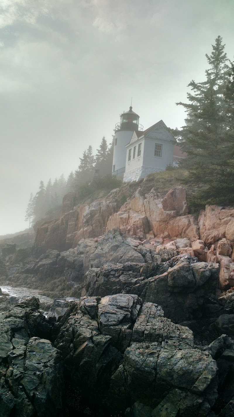 Lighthouse perched on rocky cliff with pine trees and foggy shoreline in Acadia National Park.