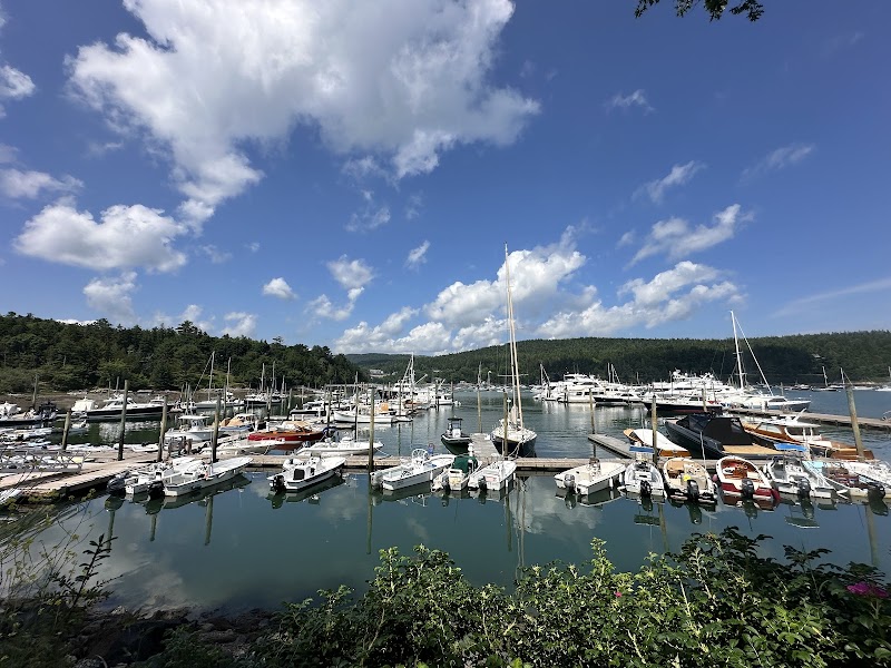 Boats and sailboats docked along a calm harbor at Mount Desert in Acadia National Park, with a blue sky and green hills in the background.