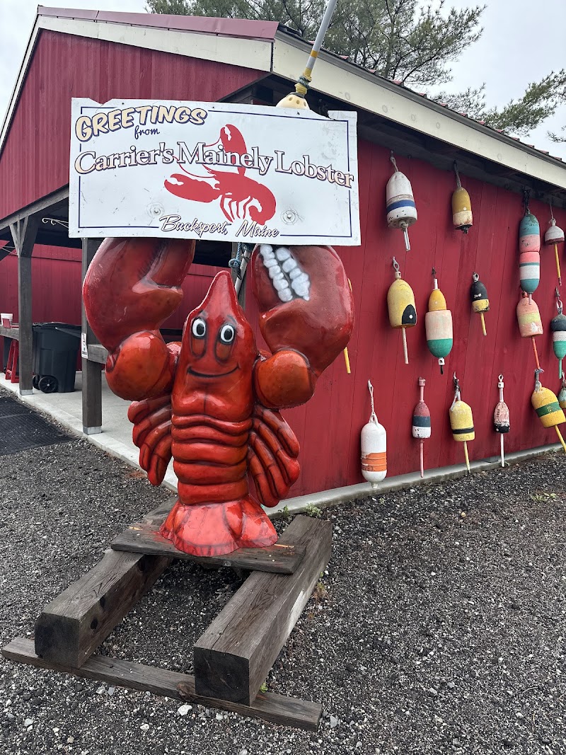 Lobster statue and harbor shack with buoys along a red building near Acadia National Park, welcoming visitors.