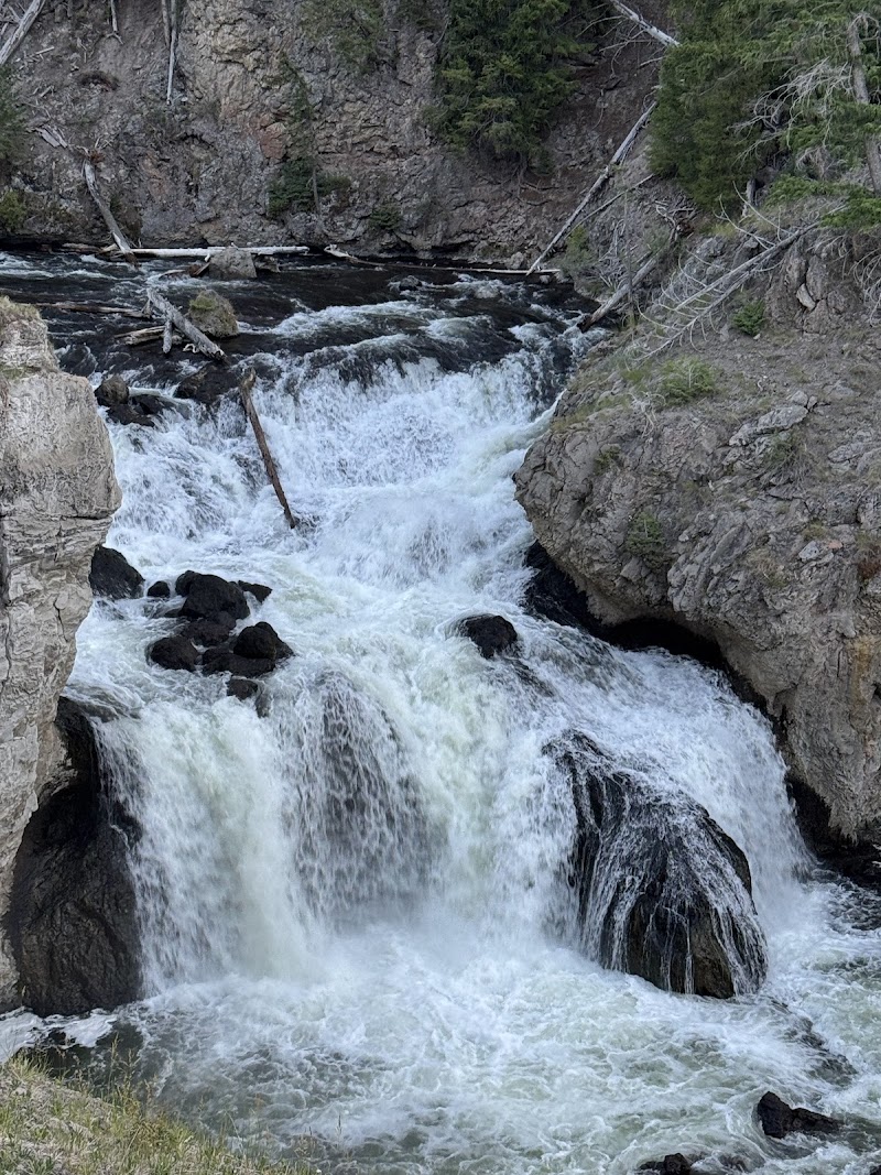 Water pours over jagged rocks at Firehole Falls in Yellowstone National Park, creating white, frothy rapids amid canyon walls and evergreen trees.